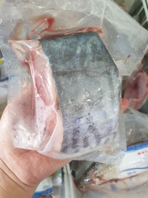 Cá Thu - Thiên Nhiên